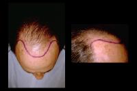 Click to see larger picture